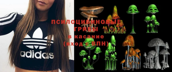 мяу мяу мука Алзамай