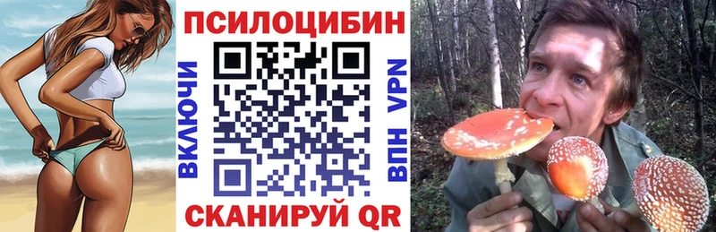 гидра   Бокситогорск  Псилоцибиновые грибы Cubensis 